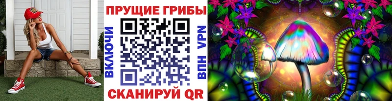 Псилоцибиновые грибы Cubensis  Купить где  Старый Крым 